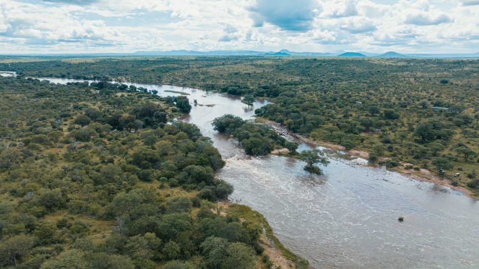 Nyerere Nationalpark mit dem Rufiji River ist perfekt, um Ihren Safari- und Badeurlaub zu starten