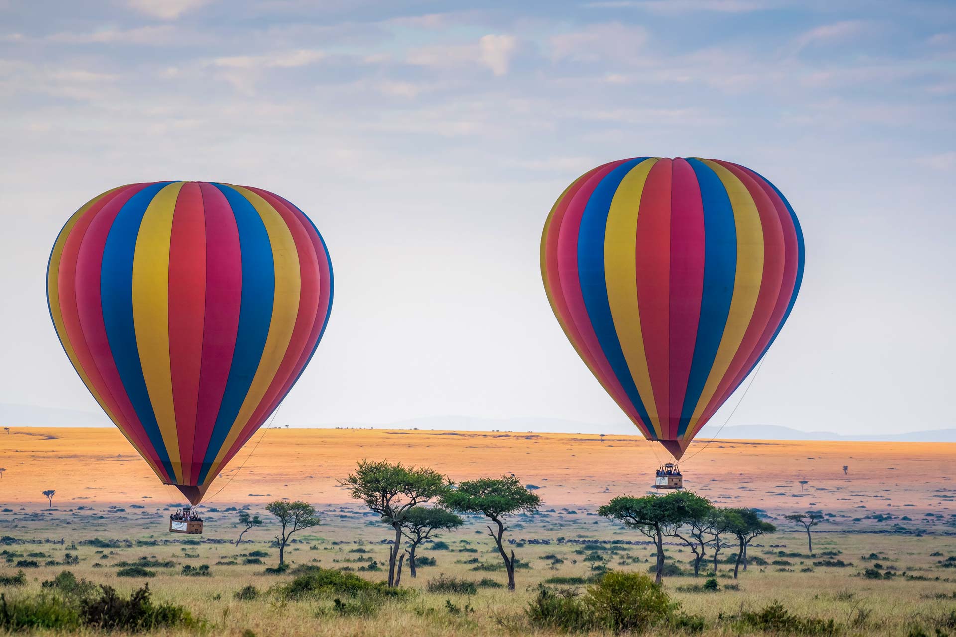 hot-air-balloon-rising-above-the-savannah-serengeti-national-park-AdobeStock_377726378 Hot air balloons over the Serengeti